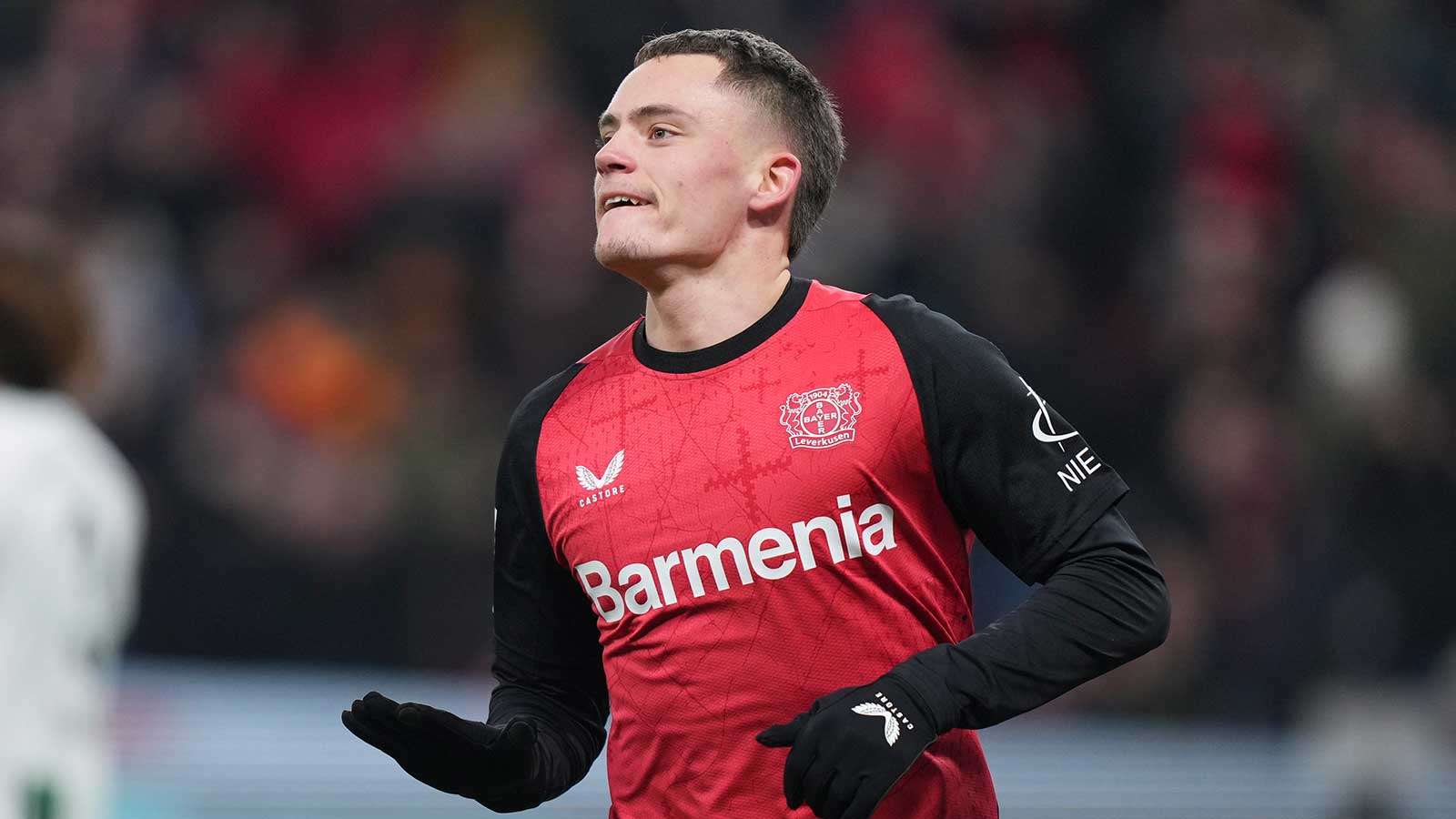 丰富的活动 丰富的活动